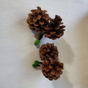 Natural Unscented Wooded Pinecone Clip Ornaments – Holiday Décor – Set of (2)